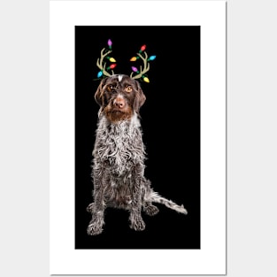 German Wirehaired Pointer Christmas Dog Posters and Art